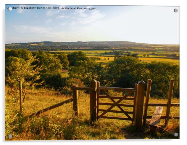 Over the Stile at Aldbury Acrylic by Elizabeth Debenham