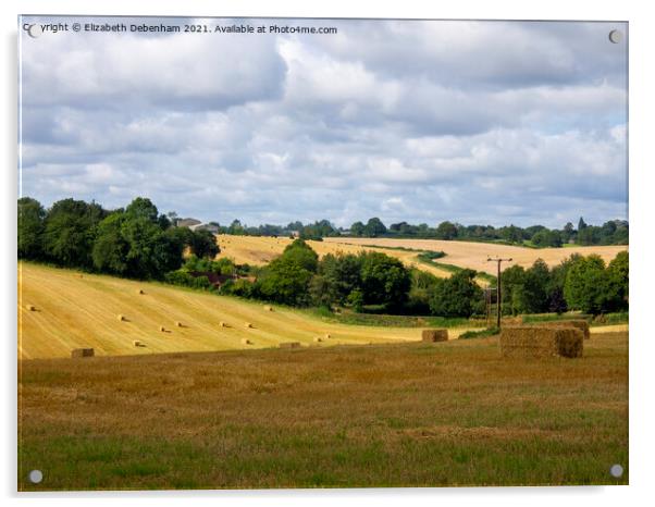 Fields After Harvest Acrylic by Elizabeth Debenham