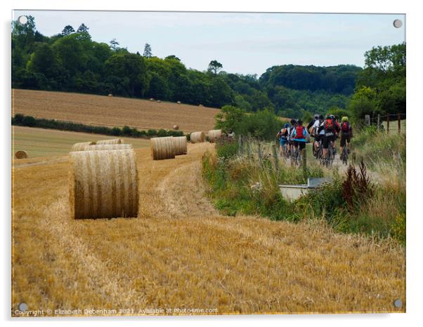 Cycling through farmland in the Chilterns Acrylic by Elizabeth Debenham