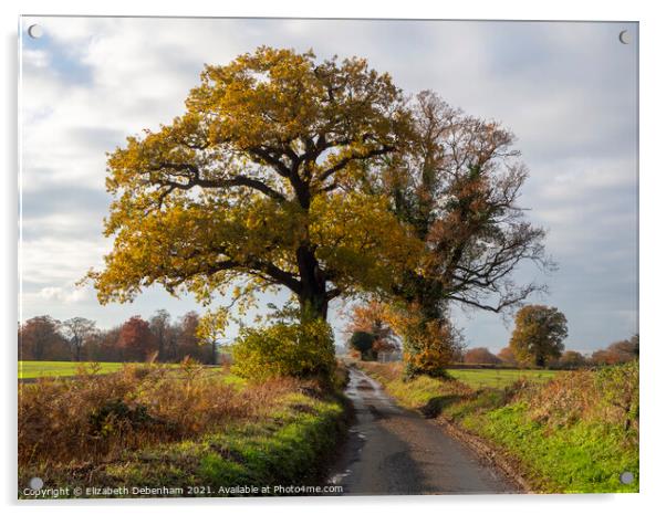 Autumn Oak Trees in the Lane Acrylic by Elizabeth Debenham