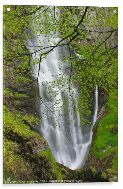 Pistyll Rhaeadr Waterfalls Welshpool Powys Wales Acrylic by Chris Warren