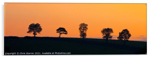 Five single trees at sunset on a hillside Acrylic by Chris Warren