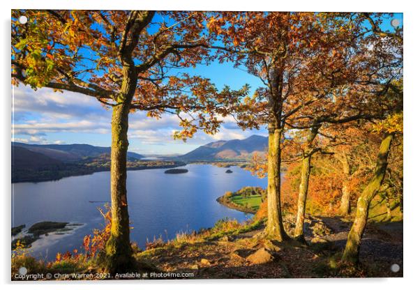 View from Surprise View across Derwent Water Lake  Acrylic by Chris Warren