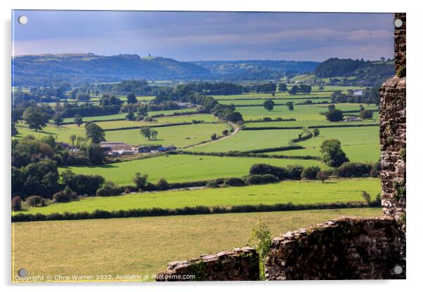 View from Dinefwr Castle across the Towy Valley Acrylic by Chris Warren