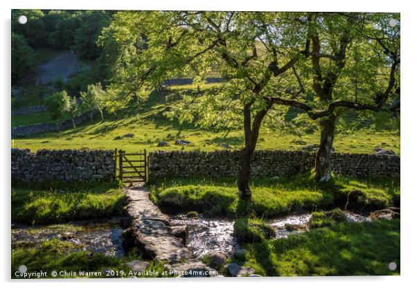 Bridge over the Malham Beck Malham Yorkshire Acrylic by Chris Warren