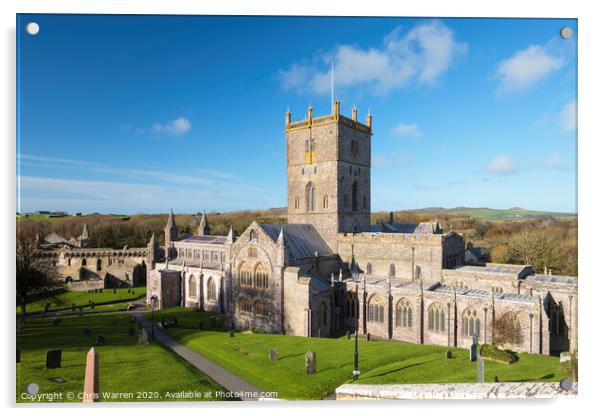 St Davids Cathedral  St Davids Pembrokeshire Wales Acrylic by Chris Warren