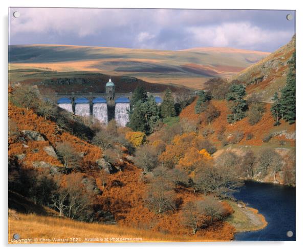 Autumn in the Elan Valley  Acrylic by Chris Warren