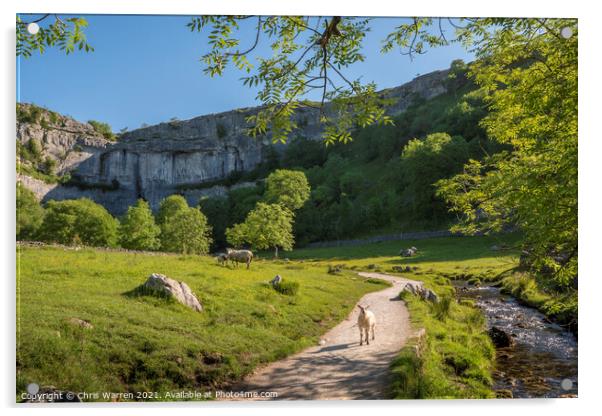 Malham Cove Yorkshire Acrylic by Chris Warren