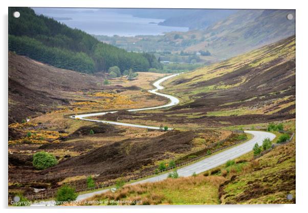 Loch Maree from Glen Docherty Ross and Cromarty Ro Acrylic by Chris Warren