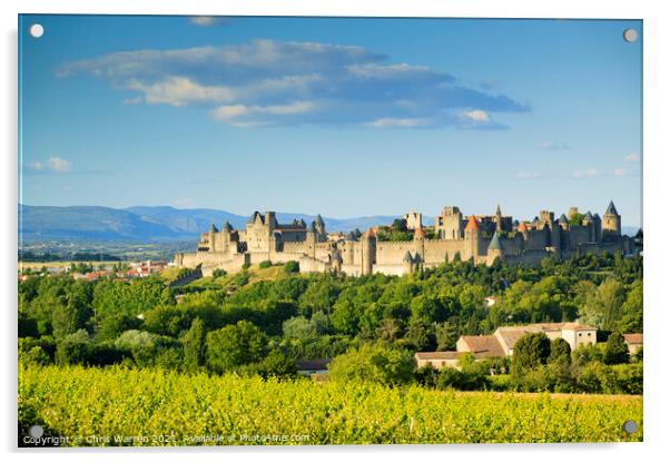 La Cite Carcassonne France Acrylic by Chris Warren