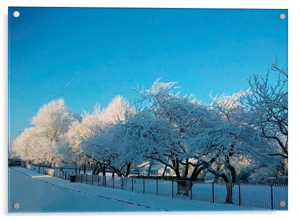 Winter wonderland Acrylic by Peter Mclardy
