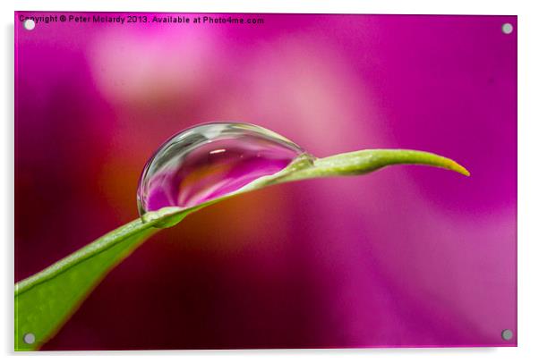 Water droplet ! Acrylic by Peter Mclardy