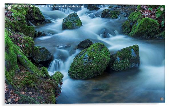 Babbling Brook ! Acrylic by Peter Mclardy