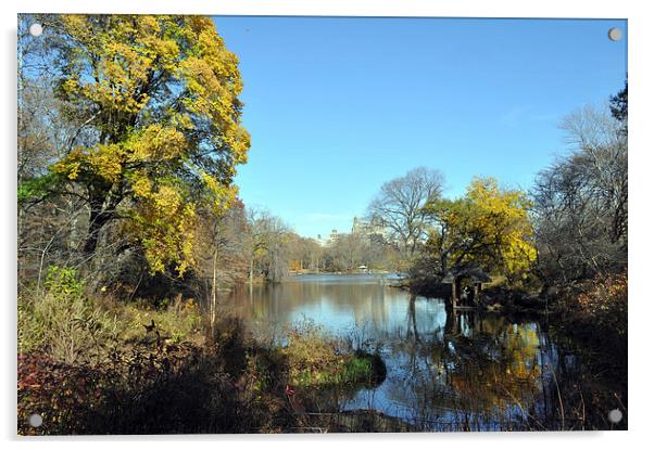 Central Park New York in the fall Acrylic by Maria Carter