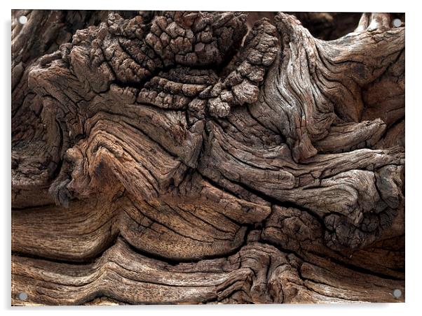 Driftwood Acrylic by Victor Burnside