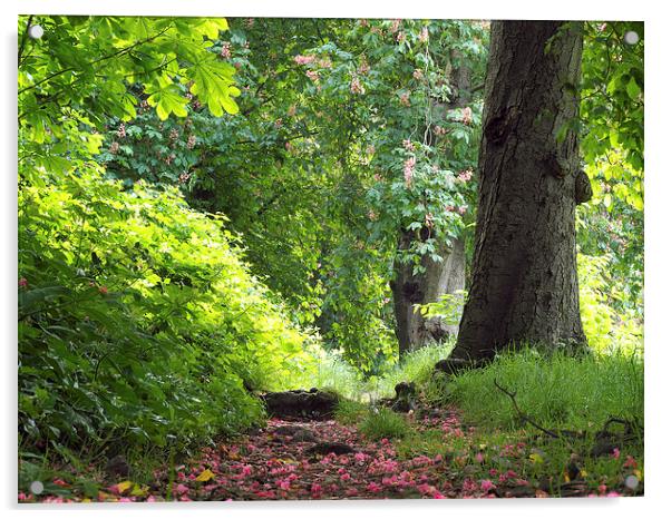 Woodland Trail Acrylic by Victor Burnside