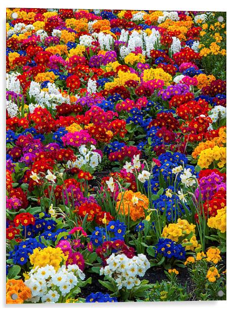 Flowers Acrylic by Victor Burnside