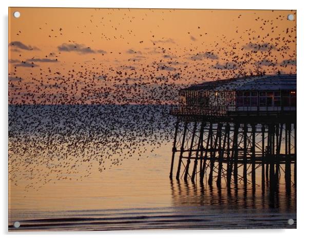 Starlings Acrylic by Victor Burnside