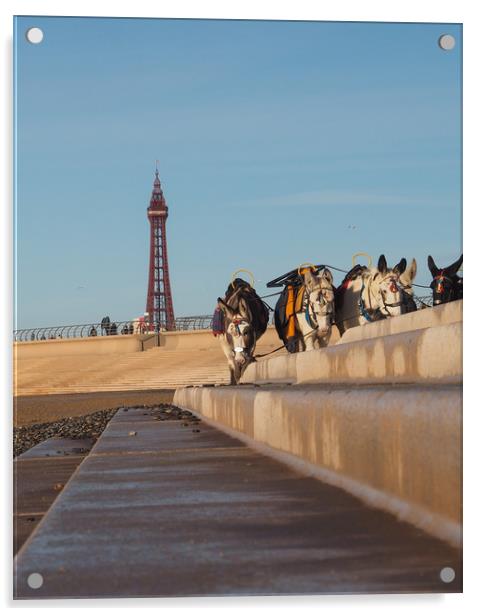 Blackpool Donkeys Acrylic by Victor Burnside