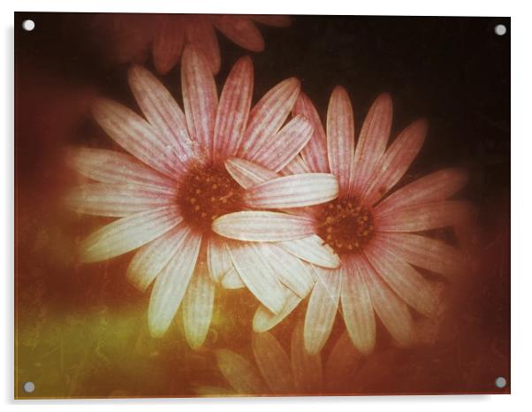 Flowers       Acrylic by Victor Burnside