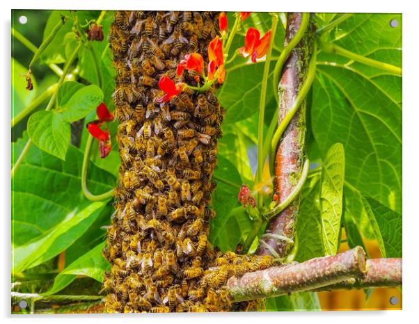 Bee Swarm Acrylic by Victor Burnside