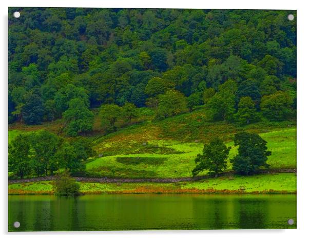 Rydal Water       Acrylic by Victor Burnside