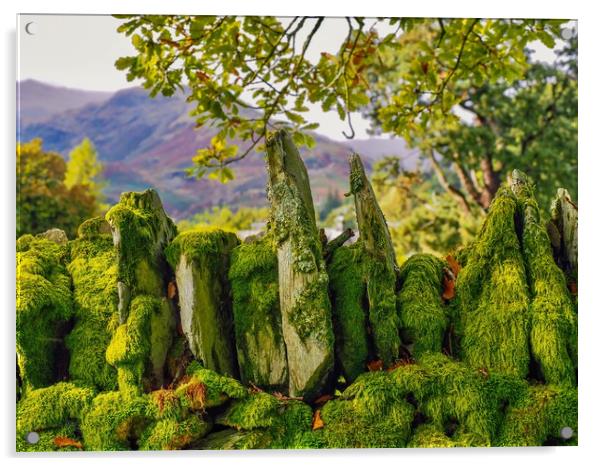 Lake District  Acrylic by Victor Burnside