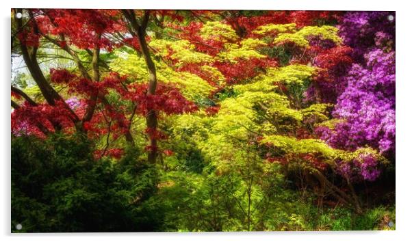 Maple Garden Acrylic by Victor Burnside