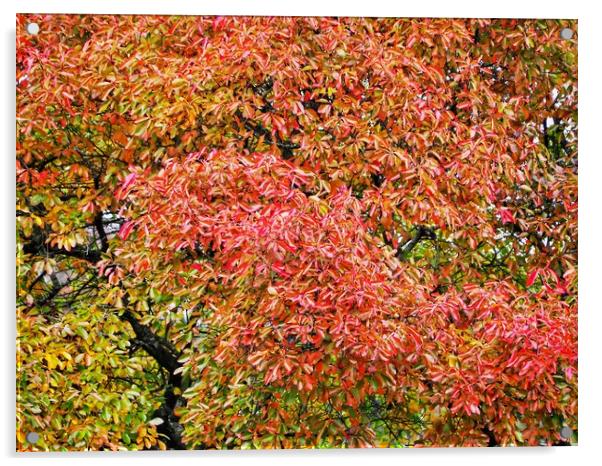 Autumn Foliage      Acrylic by Victor Burnside