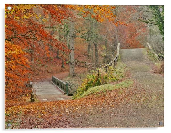 Autumn Woodland     Acrylic by Victor Burnside
