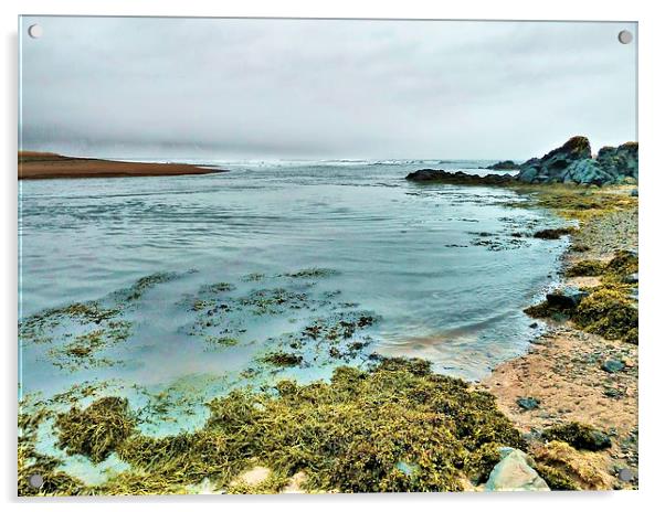 Iceland, Seaweed and Rocks Acrylic by Robert Cane
