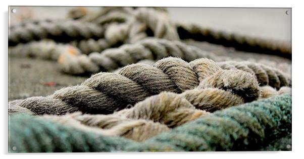 Hoo Marina, Kent, Mooring Rope Acrylic by Robert Cane