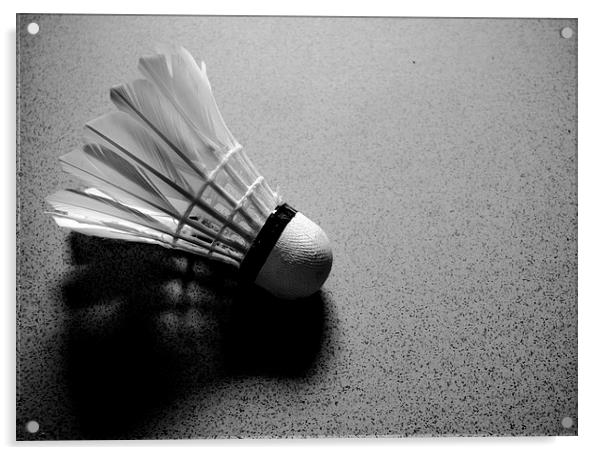 Feather Ball Acrylic by Cristopher  Selga