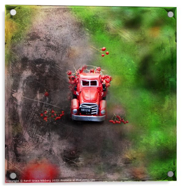 Red Toy Truck Acrylic by Randi Grace Nilsberg