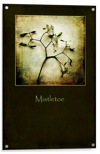 Mistletoe Acrylic by Randi Grace Nilsberg
