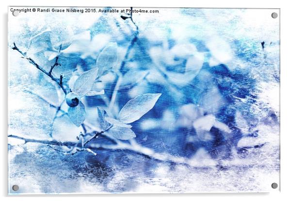 Blueberry Blues Acrylic by Randi Grace Nilsberg