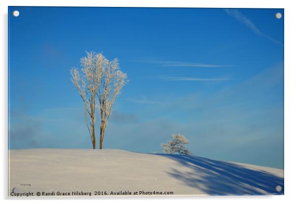 White and Blue Simplicity Acrylic by Randi Grace Nilsberg