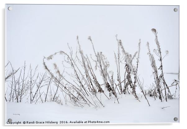 Sound of Silence Acrylic by Randi Grace Nilsberg