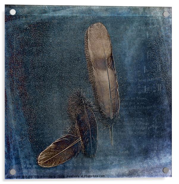 Birds of a Feather Acrylic by Randi Grace Nilsberg