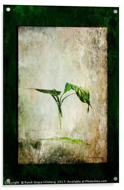 Green Melancholy Acrylic by Randi Grace Nilsberg