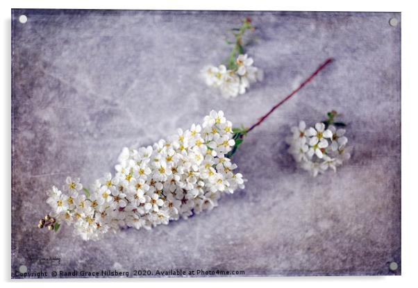 Spring Never Fails Acrylic by Randi Grace Nilsberg