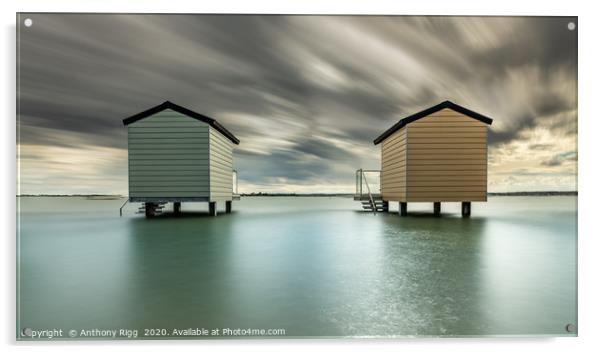 Osea Beach Huts Acrylic by Anthony Rigg