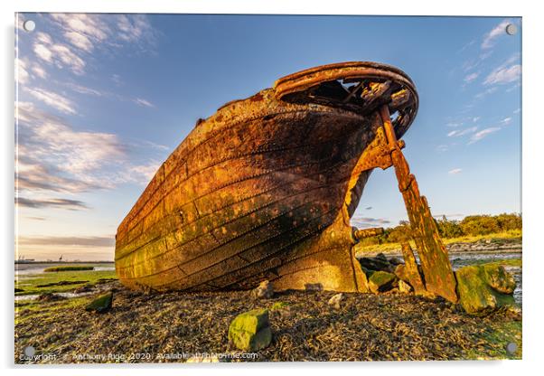 Rusting Ship Wreck  Acrylic by Anthony Rigg