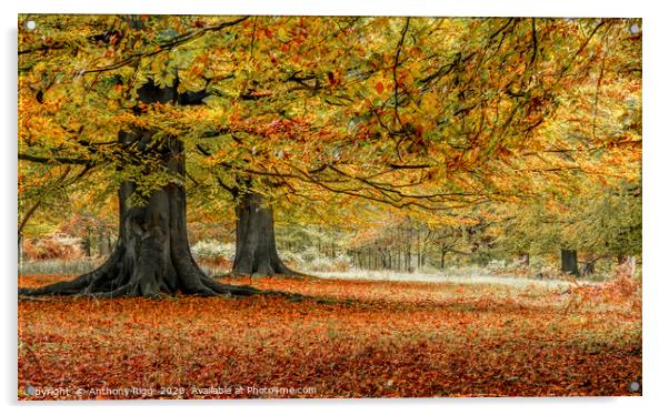 Autumnal Woodland Acrylic by Anthony Rigg
