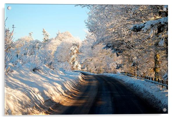 Winter Roads Acrylic by Kenny McNab
