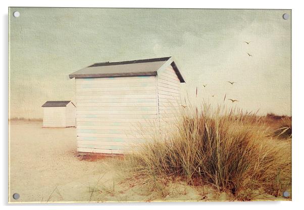 Yarmouth Beach Huts Acrylic by Lesley Mohamad