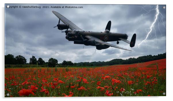 Lancaster Bomber Flying Over A Poppy Field With Li Acrylic by rawshutterbug 