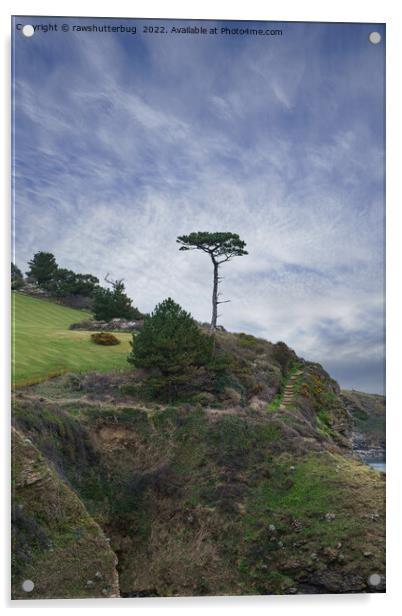 Single Tree At Thatcher Rock Acrylic by rawshutterbug 