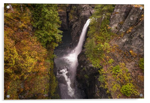 Autumn Colours At The Elk Falls Acrylic by rawshutterbug 