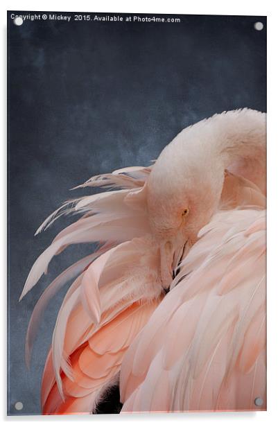 Flamingo Portrait Acrylic by rawshutterbug 